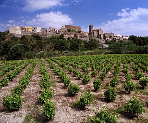 Village of LatourdeFrance above vineyard PyrnesOrientales France Ctes du  RoussillonVillagesLatourdeFrance