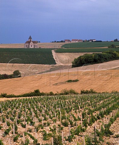 Vineyards around the church and village of Prhy   Yonne France  AC Chablis