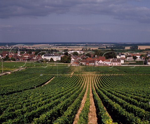 VosneRomane viewed over La Tche vineyard Cte dOr France  Cte de Nuits Grand Cru
