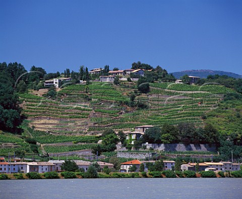 Chteau Grillet and its vineyard viewed from across the River Rhne Vrin France  AC Chteau Grillet