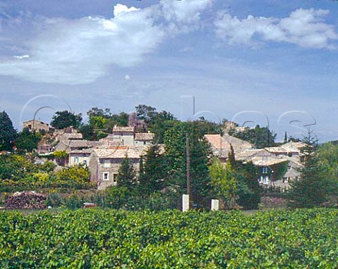Vineyard at Colonzelle near Grignan Drome     Coteaux du Tricastin