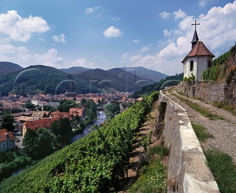 View over Thann from Clos StUrbain on the hill of Rangen above the River Thur with the Vosges Mountains beyond  The vineyard owned by ZindHumbrecht is famous for its Riesling    HautRhin France    Alsace Grand Cru