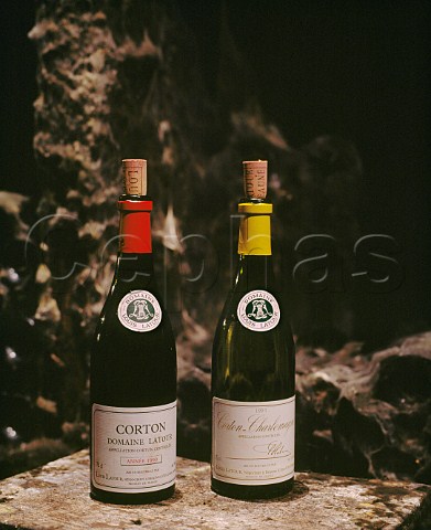 Bottles of Louis Latour Corton 1990 and CortonCharlemagne 1991 cellar of Chteau de Grancey  AloxeCorton Cte dOr France Cte de Beaune Grand Cru