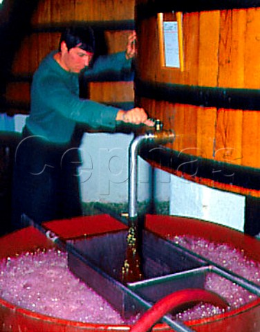 Remontage pumping the fermenting must over the   grapeskin cap Chteaux LovilleBarton StJulien   Gironde France Mdoc  Bordeaux