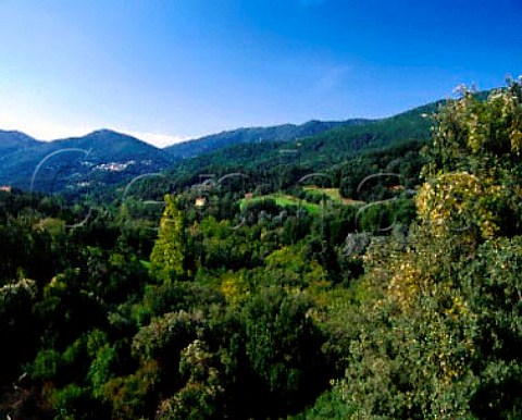 Landscape near Grosseto east of Ajaccio  Corsica