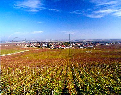Village of VosneRomanee viewed over the Grand Cru   vineyard of La Tache which is a monopole owned by the   Domaine de la RomaneeConti  Cote de Nuits