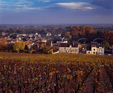 Les Argillires vineyard above Prmeaux Prissey near the southern end of the Cte de Nuits at one of its narrowest points just 200 metres wide Cte dOr France  NuitsStGeorges 