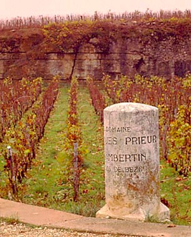 Marker stone of Domaine Jacques Prieur in vineyard   of ChambertinClos de Beze at GevreyChambertin    Cote de Nuits