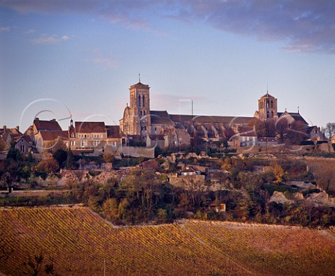 Autumnal vineyards on the southfacing slope below the historic hilltop town of Vzelay and its Romanesque abbey church of SainteMarieMadeleine  Yonne France  Bourgogne Vzelay
