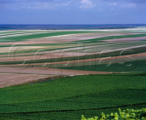 View from vineyards on the Cte de Vertus near BergreslsVertus Marne France Champagne