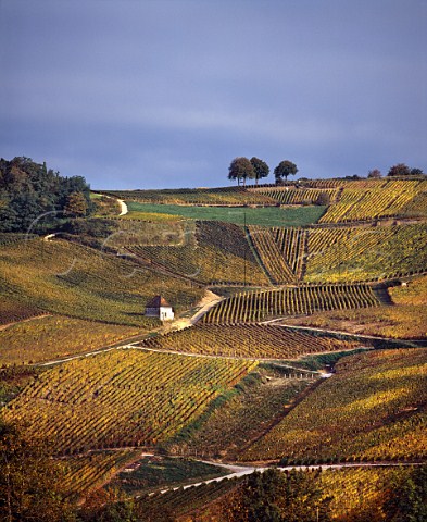 Clos Bacchus vineyard at MentruleVignoble Jura France ChteauChalon