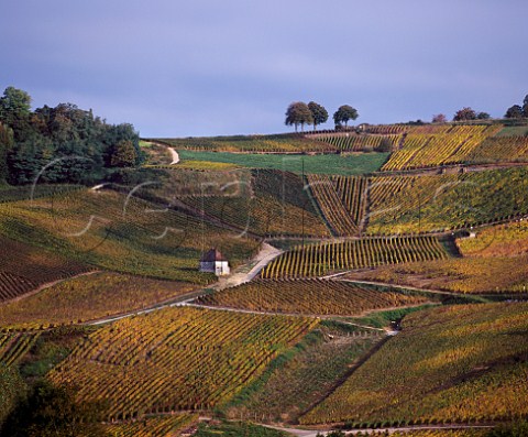 Clos Bacchus vineyard at MentruleVignoble Jura France AC ChteauChalon
