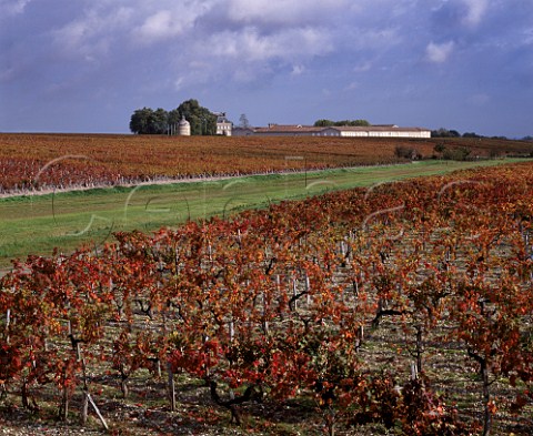 Chteau Latour and its vineyards in Pauillac viewed  over vineyard of Chteau LovillelasCases in  StJulien The Ruisseau de Juillac dyke is the border  between the two communes  Gironde France   Mdoc  Bordeaux