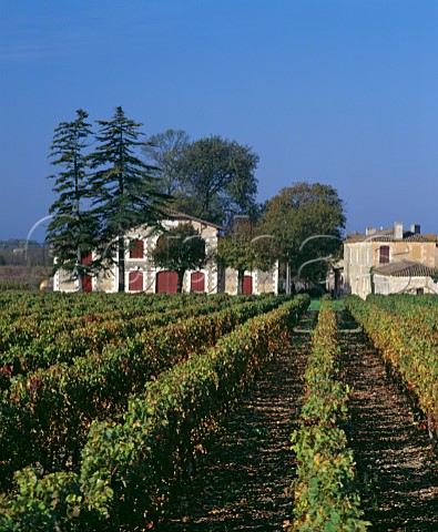 Chteau le Menaudat and its vineyard StAndrony Gironde France  Blaye Ctes De Bordeaux