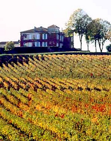 Chteau Pardaillan above its autumnal vineyard   Cars Gironde France Premires Ctes de Blaye    Bordeaux