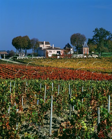 Chteau Barbe viewed over its autumnal vineyard    Cars Gironde France Blaye Ctes De Bordeaux