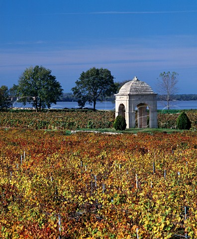 Autumnal vineyard of Chteau de Barbe with the   Gironde estuary beyond Villeneuve Gironde France  Ctes de Bourg  Bordeaux