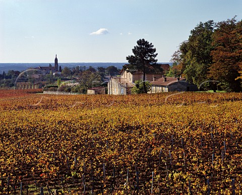 Chteau Falfas viewed over its autumnal vineyard with the 12thcentury church of BayonsurGironde beyond Gironde France Ctes de Bourg  Bordeaux