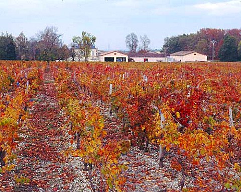 Chteau la Louvire viewed over its autumnal   vineyard Lognan Gironde France   PessacLognan  Bordeaux
