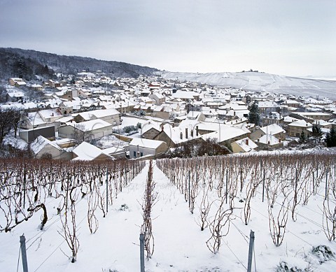 Snow blankets the village and vineyards of Verzenay on the Montagne de Reims Marne France Champagne