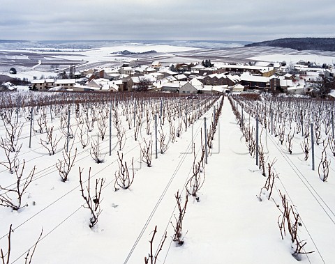 Snow blankets the vineyards and village of Avize Marne France Cte des Blancs  Champagne
