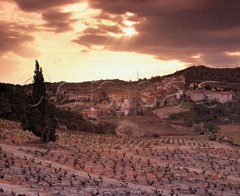 Sunset over village and vineyards of Belesta in early spring PyrnesOrientales France   Ctes du Roussillon