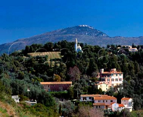 Chateau de Bellet and its vineyard StRoman de   Bellet near Nice France     AC Bellet