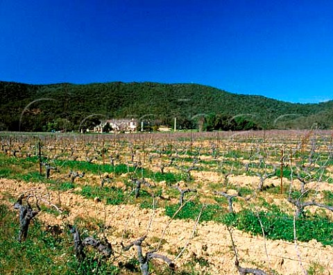 Domaine de Souviette on the southern slopes of the   Massif des Maures Var France    Ctes de Provence