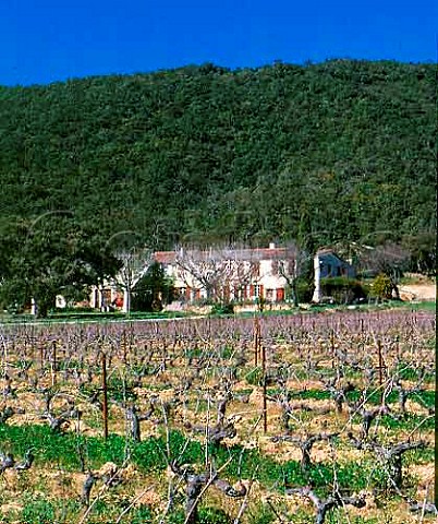 Domaine de Souviette on the southern slopes of the   Massif des Maures Var France    Ctes de Provence