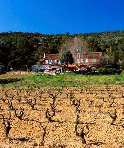 Domaine du Noyer viewed over its Clos Mistinguette   vineyard On the southern edge of the Massif des   Maures Var France  Ctes de Provence