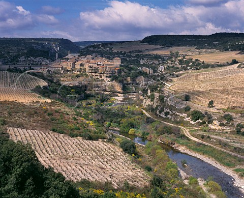 Village of Minerve and earlyspring vineyards in the Cesse Valley Hrault France  AC Minervois