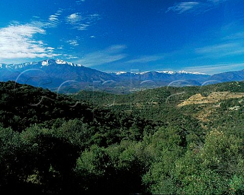 View from near Marcevol to the Massif de Canigou   2784m PyreneesOrientales France