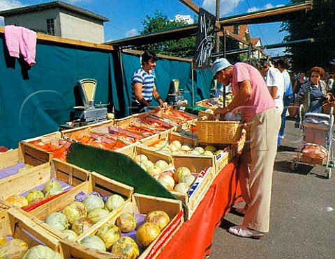 Melons on sale on market stall La   FertesousJouarre SeineetMarne France