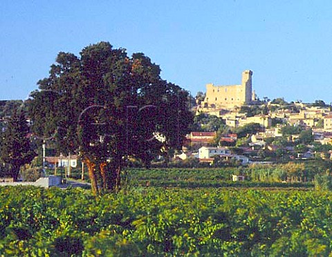 Vineyards below the town and ruined papal chateau of   ChateauneufduPape Vaucluse France
