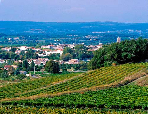Vineyards at Valras Vaucluse France   AC Ctes du RhneVillages