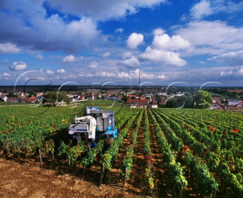 Machine harvesting Pinot Noir grapes in Clos des Vergennes vineyard on the east side of the hill of Corton LadoixSerrigny Cte dOr France Cte de Beaune Grand Cru