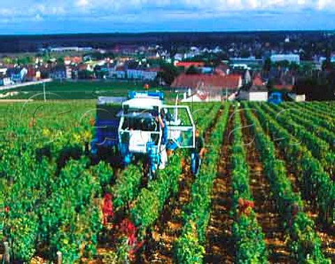 Machine harvesting of Pinot Noir grapes in the Grand Cru vineyard Clos des Vergennes on the east side of the hill of Corton LadoixSerrigny Cte dOr France   Cte de Beaune