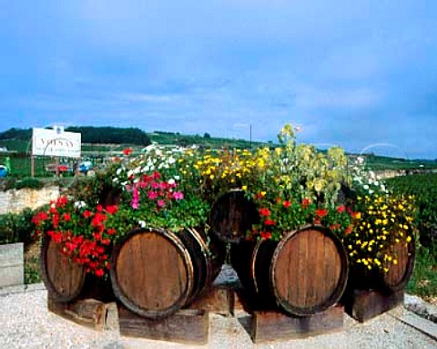 Flower display on old barrels at entrance to village   of Volnay Cote dOr France Cote de Beaune