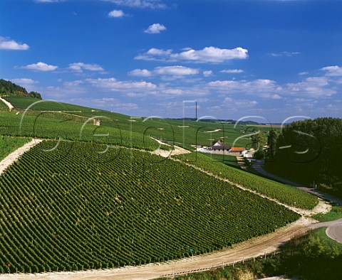 Looking southeast along the slope of the Grand Cru vineyards of Chablis Grenouilles  with Chteau Grenouilles at its foot  is in foreground with Valmur and Les Clos beyond  Yonne France