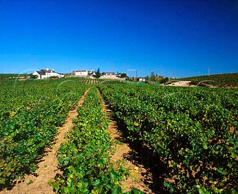 The hamlet of Chaume viewed over vineyard of   Chteau Bellerive MaineetLoire France   QuartsdeChaume