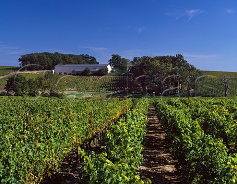 Chteau de Fesles and Chenin Blanc vineyards Thouarc MaineetLoire France    AC Bonnezeaux
