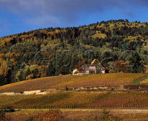 Clos Windsbuhl vineyard owned by Domaine ZindHumbrecht Hunawihr HautRhin France Alsace