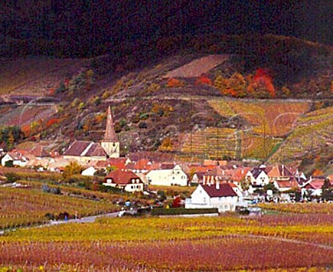 Niedermorschwihr with part of the Sommerberg beyond    an Alsace Grand Cru vineyard HautRhin France     Alsace