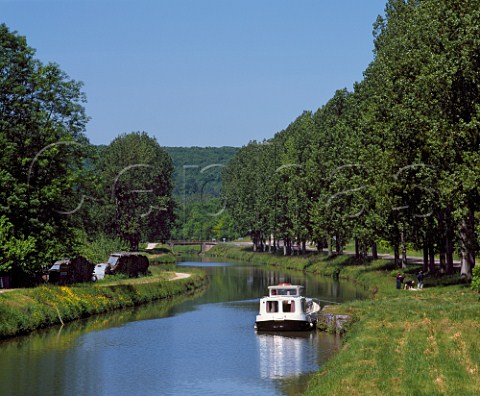 Poplar trees on the banks of the Canal de Bourgogne at Rougemont between AncyleFranc and Montbard  Cte dOr France   Burgundy
