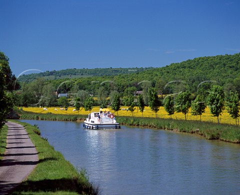 Boat on the Canal de Bourgogne passing field of yellow flowers at ChteauneufenAuxois Cte dOr France  Burgundy