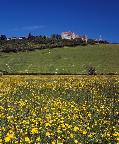 Village and chteau of ChteauneufenAuxois viewed over meadow of yellow flowers Cte dOr France  Burgundy