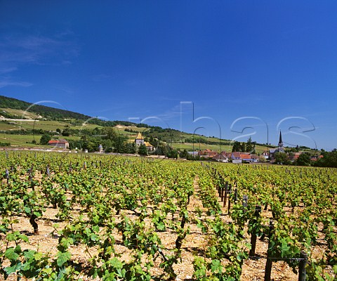 Village of Santenay and Chteau Philippe Le Hardi viewed over Clos Genet vineyard    Cte dOr France  Cte de Beaune