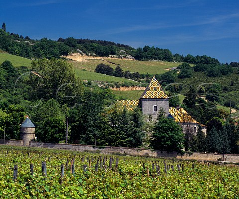 Chteau Philippe Le Hardi viewed over Clos Genet vineyard at Santenay Cte dOr France   Cte de Beaune