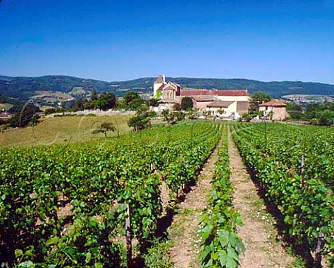 View over vineyard to the Chapelle des Moines at   BerzlaVille SaneetLoire France  Mconnais