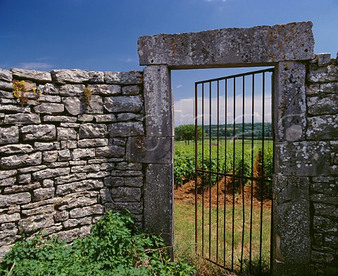Old gateway to vineyard Remigny Cte dOr France Cte de Beaune